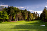 Druids Glen 2 green