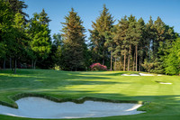Druids Glen 1 approach