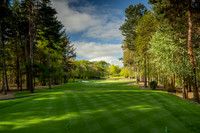 Druids Glen 2 tee 1999