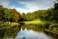 Druids Glen 8 autumn