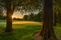 Druids Glen 11 green sunrise