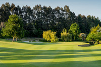 Druids Glen 4 approach