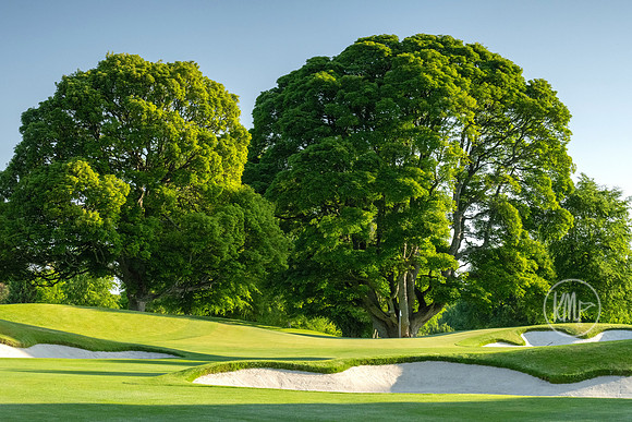 Druids Glen 14 approach Sycamore
