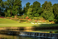 Druids Glen 12 weir