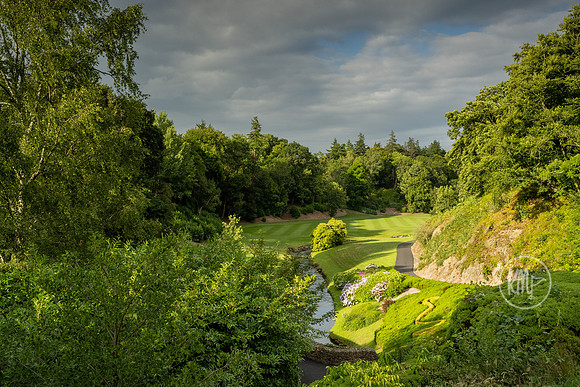 Druids Glen 13 tee snake