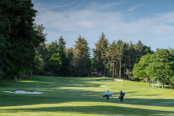 Druids Glen 1 golfers
