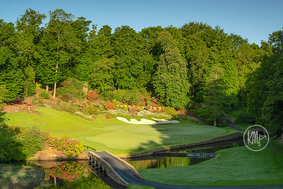 Druids Glen 12 tee shadows