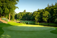 Druids Glen 13 green