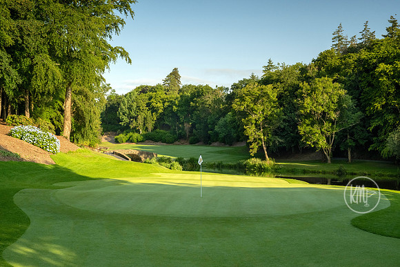 Druids Glen 13 green